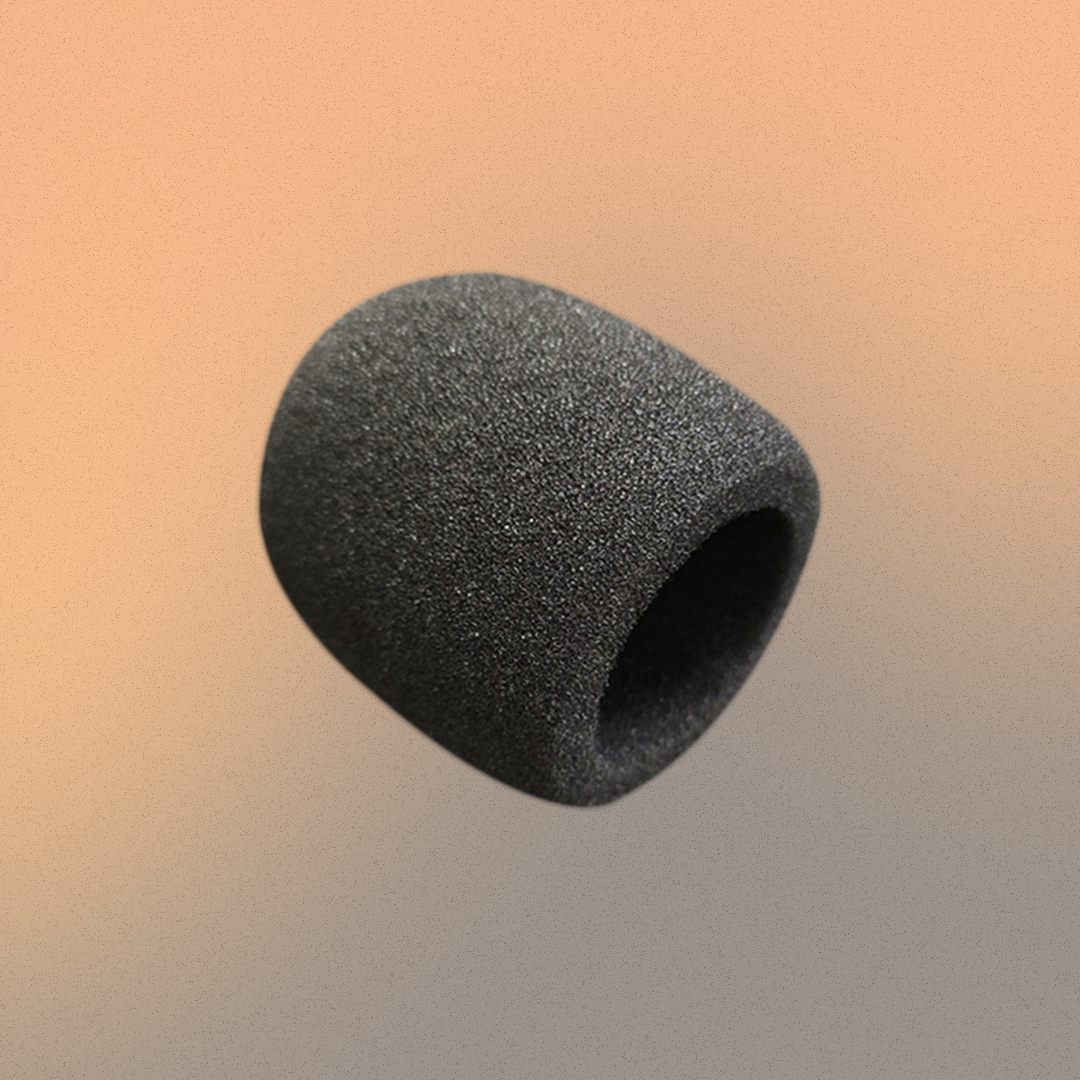 Sponge Mic Cover